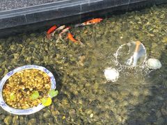 -扬州中集格兰云天大酒店