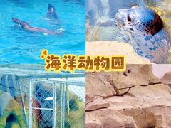 -秦皇岛乐岛海洋王国