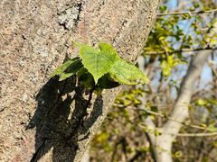 -南山风景名胜区