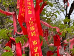 -帽儿山风景区
