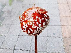 -邓记新一代糖油果子(四川煤管局供销公司职工宿舍店)