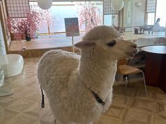 -Blue Concept Cafe&Farm·關於藍