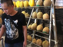 榴莲-都念榴莲·城市榴莲