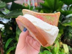 -詹爷爷乌节路街头冰淇淋