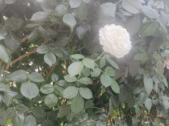 -张记焖窑·十五年专注焖烤(雍和宫店)