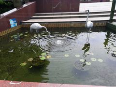 -七宝老街-闵行市民文化广场