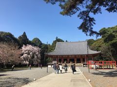 -醍醐寺