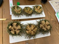 -海胆小馆(东北水饺·春柳店)