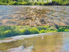 -白河湾生态旅游一条川