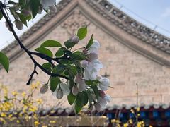 -西宁市东关清真大寺