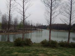-梁鸿国家湿地公园
