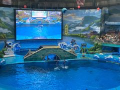 -海合安成都极地海洋公园