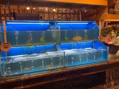 水产区-芭菲盛宴·环球美食(袁家岗店)