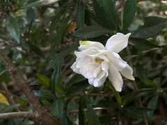 -湖滨客舍·湖北菜