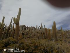 -乌尤尼盐沼