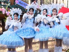 -洛阳白云山景区