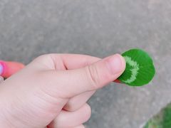 -前小桔亲子创意农场·草莓采摘·露营烧烤