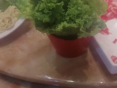 -清真军邺·金富苑肥牛(石坡街旗舰店)