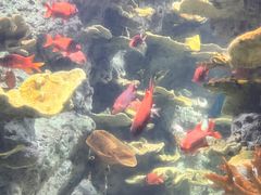 -福州罗源湾海洋世界旅游区