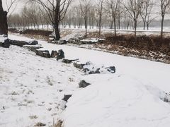 -东郊湿地公园