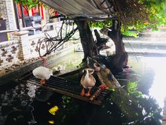 -优之名鹅城