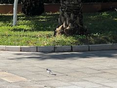 -云南艺术学院(呈贡校区)