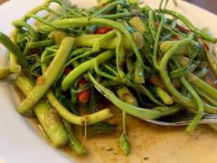 蒜头炒含羞草-建兴酒家(素里翁分店)