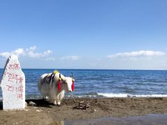 -青海湖国家重点风景名胜区