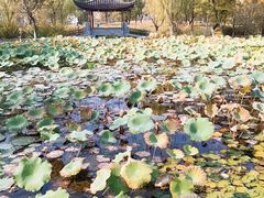 -武汉园博园(武汉自然博物馆)