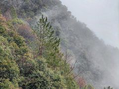 -江南天池