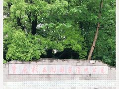 -重庆彩云湖湿地公园