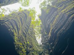 -梭布垭石林景区