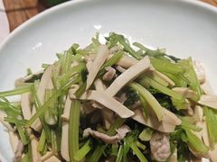 -椿不老