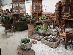 -金科花卉市场