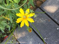 -普陀山风景名胜区-千步大沙