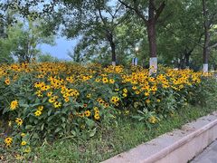 -南翠屏公园