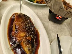 -楼外楼(西湖景区孤山路店)