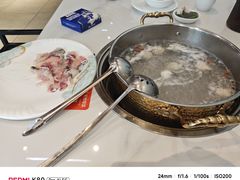 -港升鱼师傅·中山脆肉鲩
