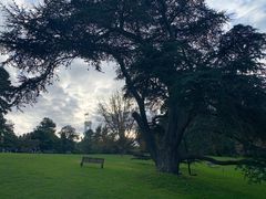 -墨尔本皇家植物园