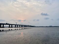 -南汇嘴观海公园