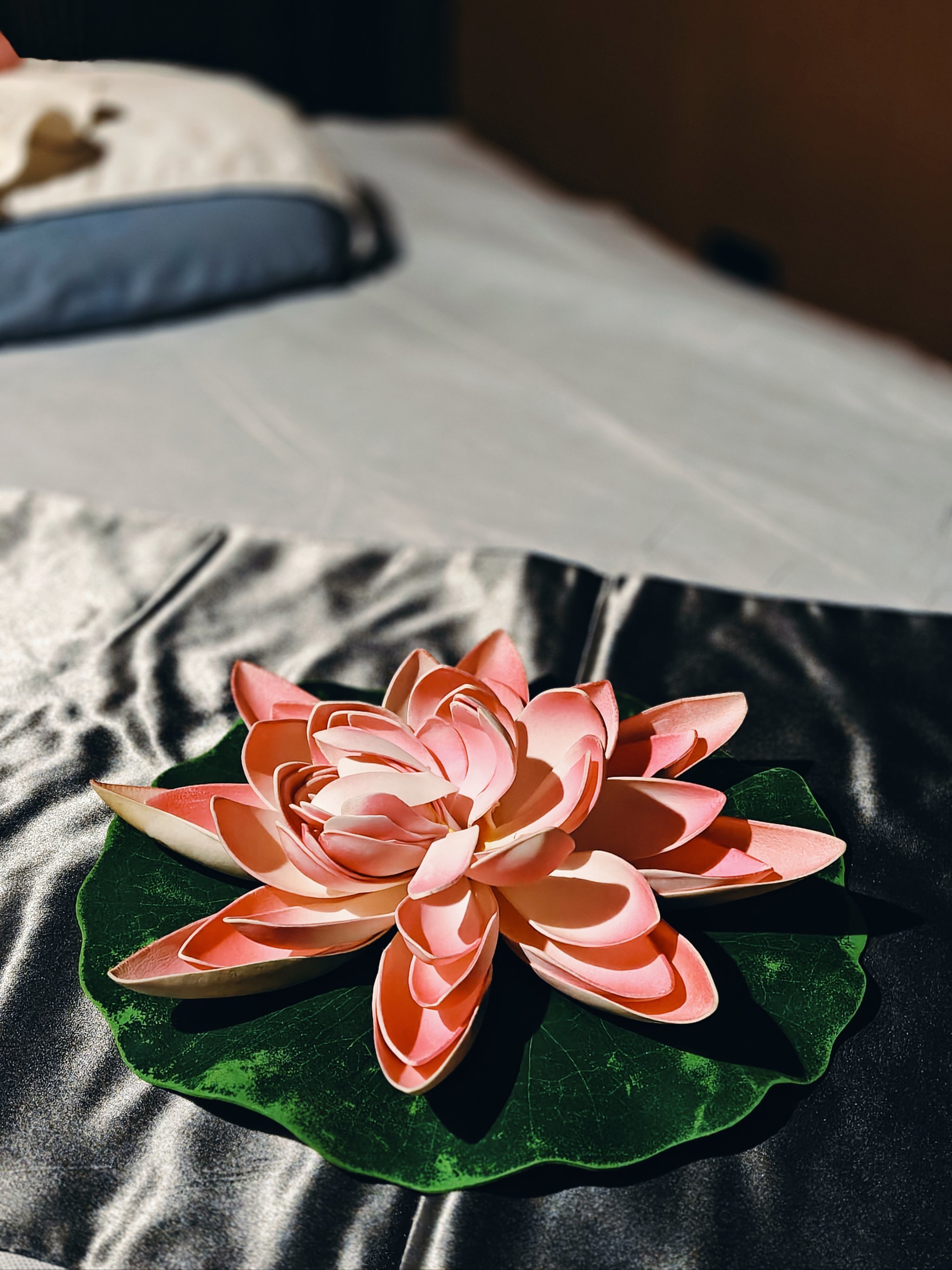 🌼君上安康,打工人的放松圣地!