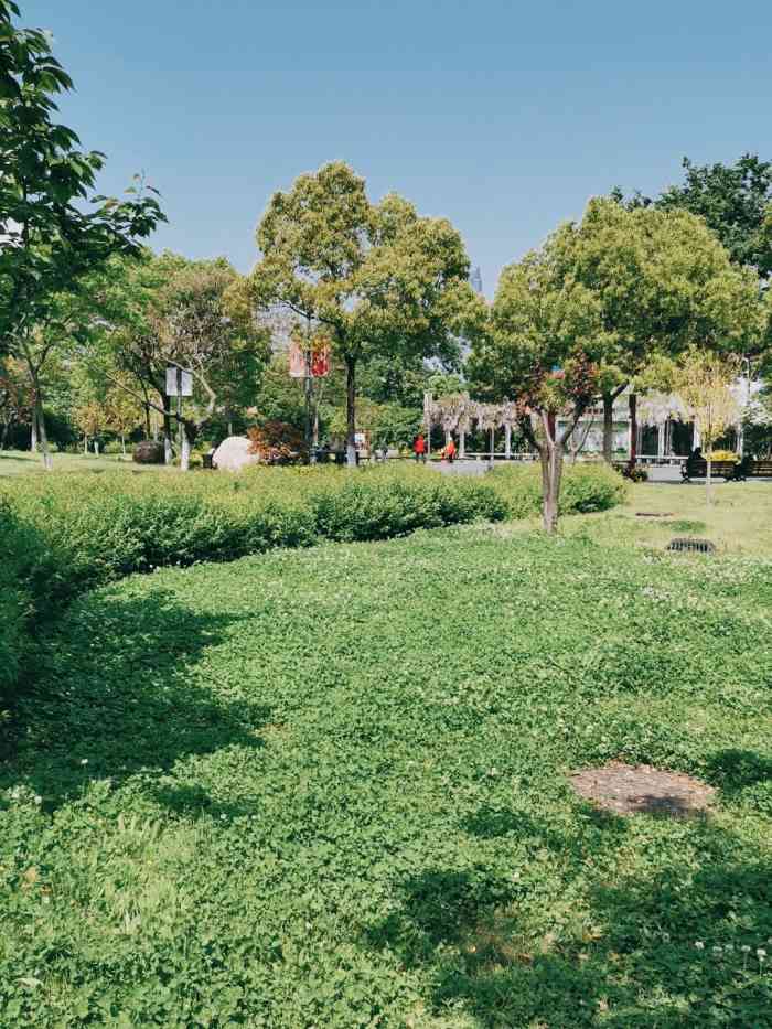 南干渠游园-"南干渠公园感觉就是一个社区聚会的地方,早.