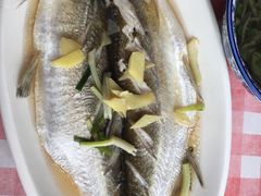 -湖山人家·湖景餐厅·特色农家菜(太湖西山店)