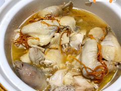 干焗走地鸡-珍藏湘约(科技园店)