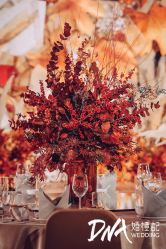 -DNA Wedding 婚礼记(上海店)