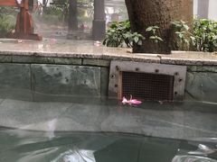 日式汤-嘉和K6温泉微度假