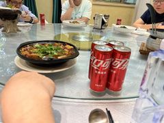 -丁老爷子苏香圆