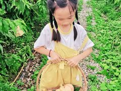 -樂桃源奉贤黄桃种植采摘基地