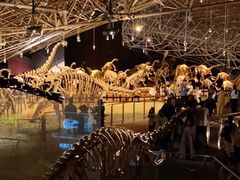 -世界恐龙谷景区