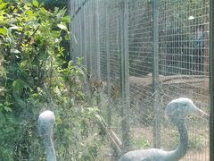 -齐齐哈尔龙沙动植物园
